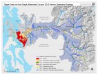 Skagit Watershed Council 2016 Interim Steelhead Strategy