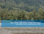 Skagit River Large Woody Debris Assessment - Connecting LWD to the 2005 Skagit Chinook Recovery Plan