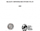 Skagit Chinook Recovery Plan (2005) 