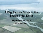 A Big Picture Story in the Skagit Tidal Delta