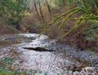 Summary Report - Targeted Riparian Buffer Incentives Pilot Project